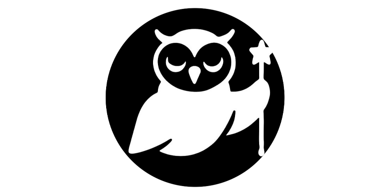 Black Friday WiseWand